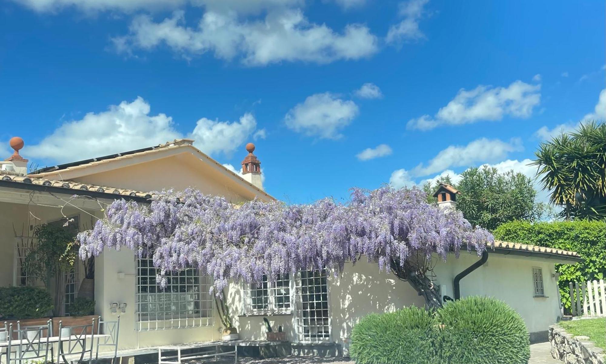 Villa Di Lusso Con Piscina - Rome, Rome